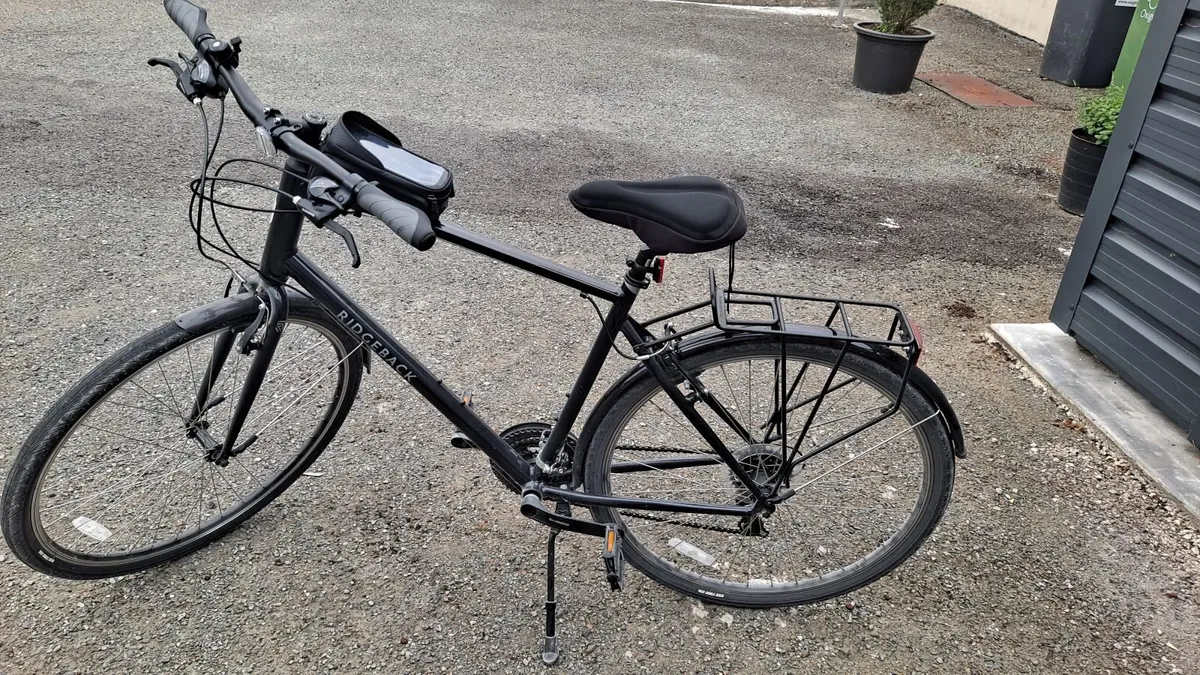 I'm selling a bicycle. - Image 1