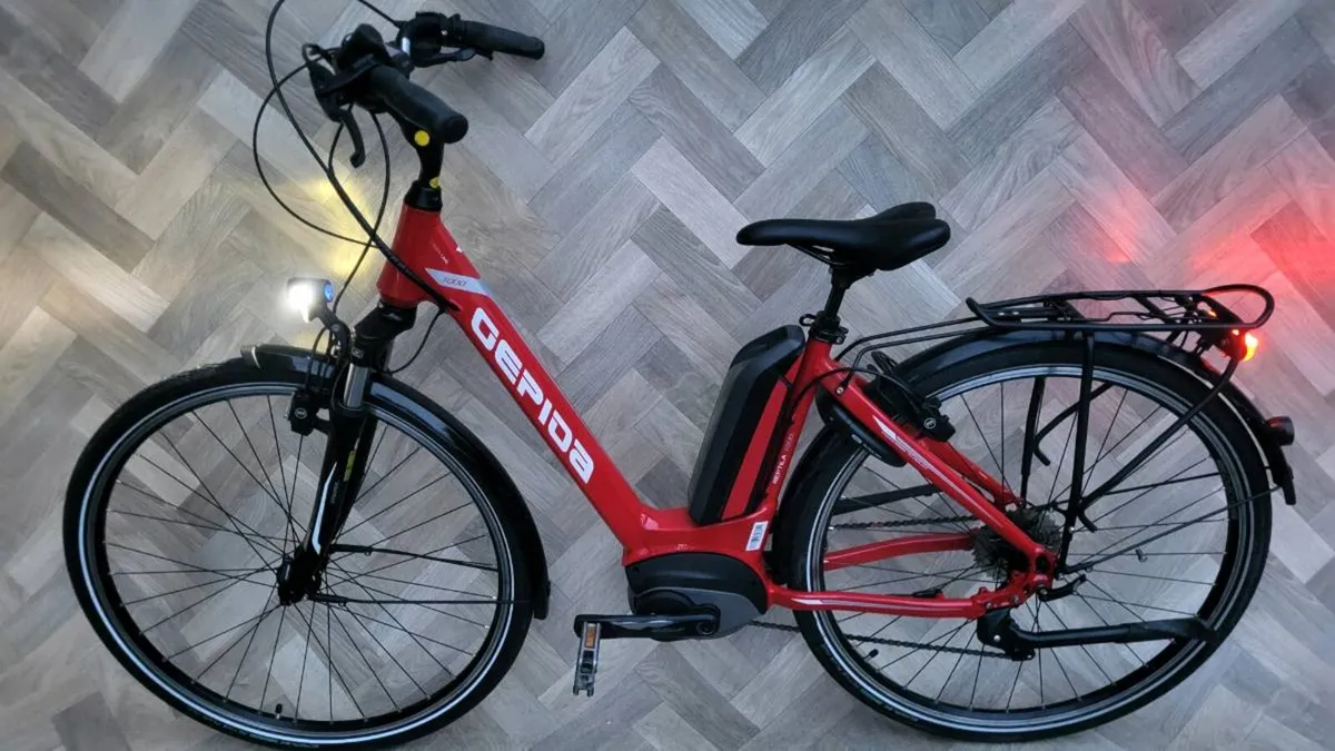 GEPIDA,  E-BIKE,  ELECTRIC BIKE - Image 4