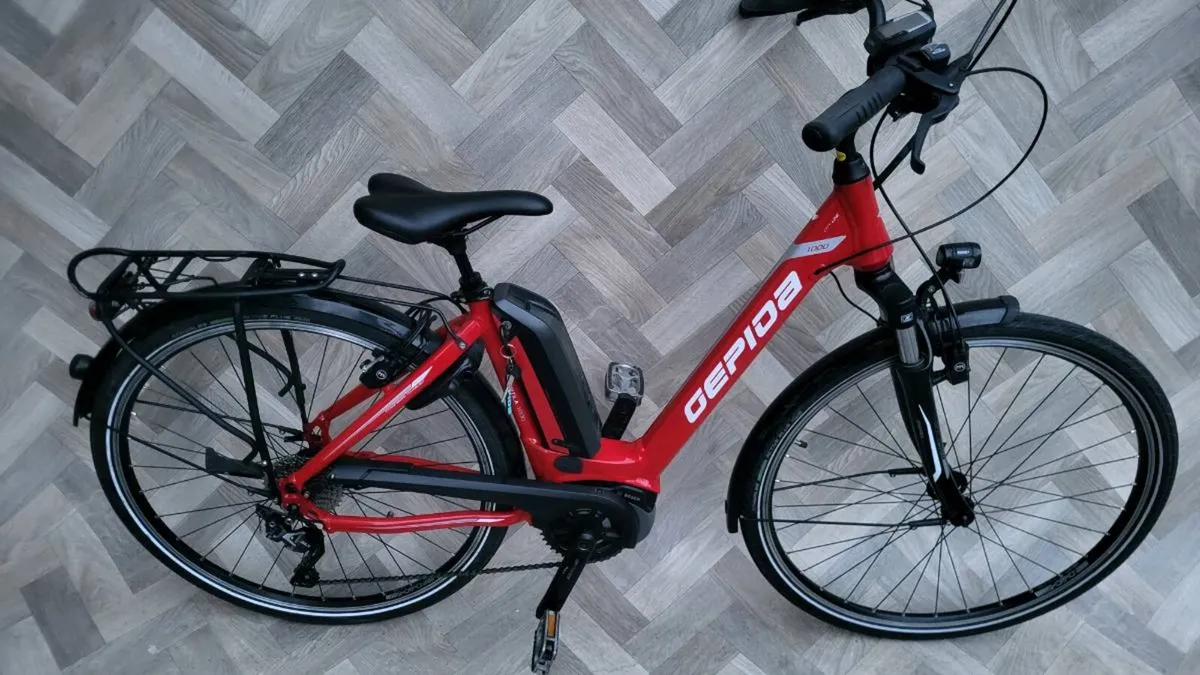 GEPIDA,  E-BIKE,  ELECTRIC BIKE - Image 3