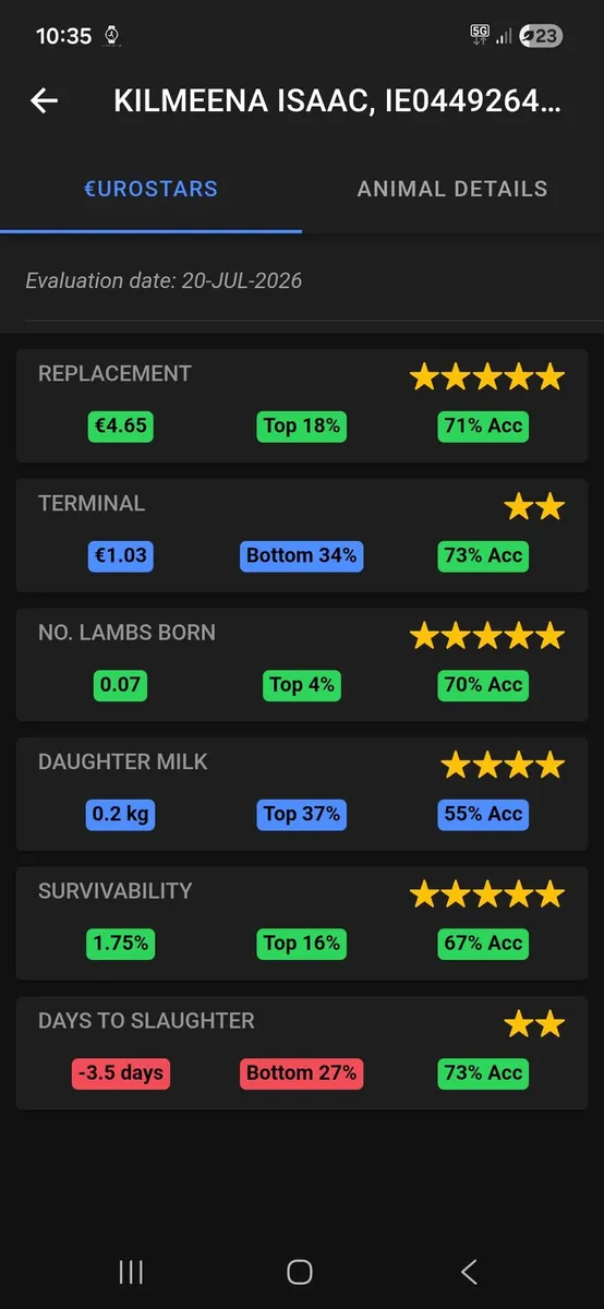 ⭐️⭐️⭐️⭐️⭐️Hogget Ram SIS approved - Image 2