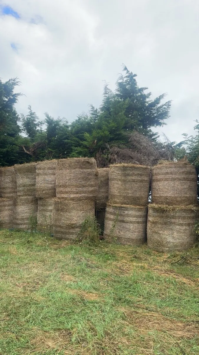 Bales of hay