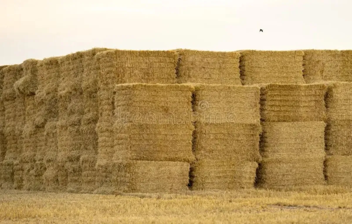 Straw