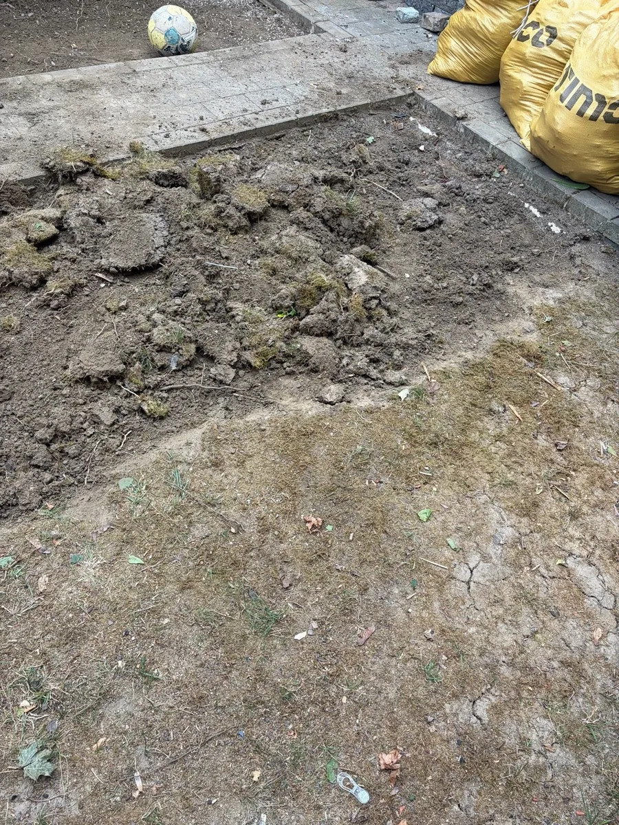 Free fill dirt/ top soil from my old lawn - Image 3