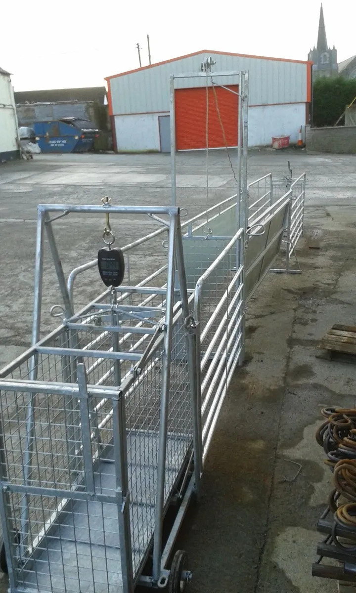 Weighing clock up to 200kg - Image 2
