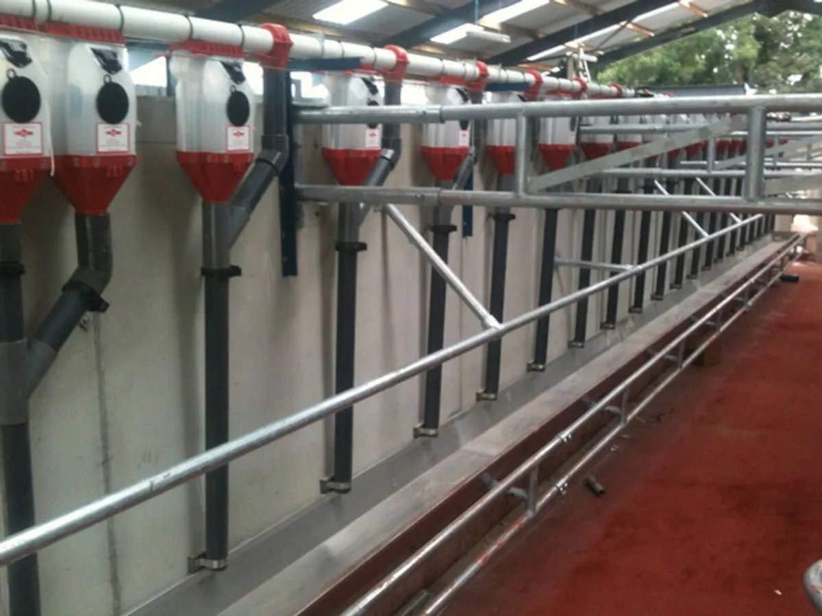 Feeding Equipment - Image 3