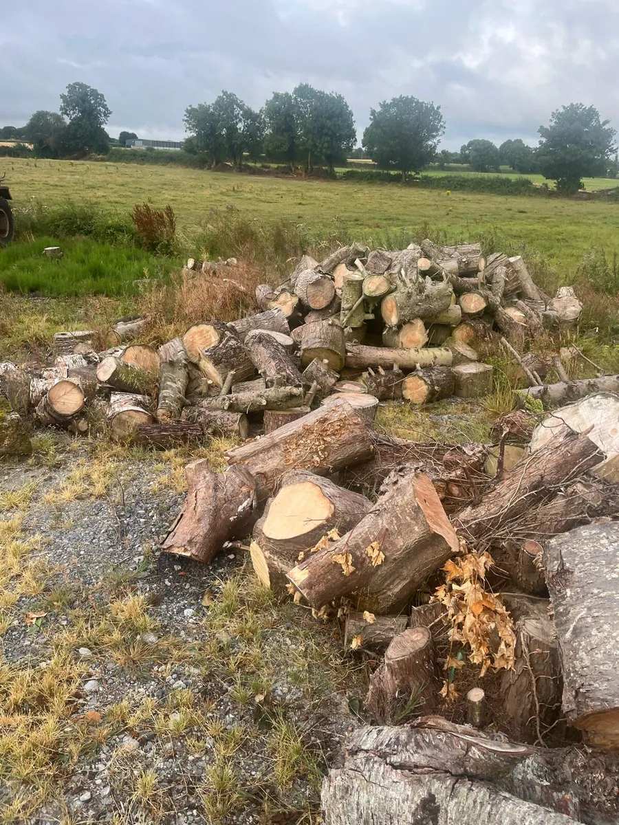 timber for sale - Image 1