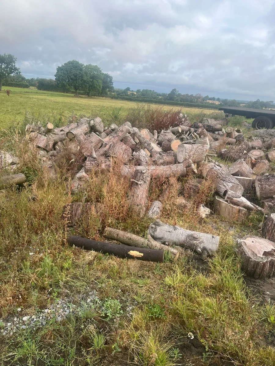 timber for sale - Image 4