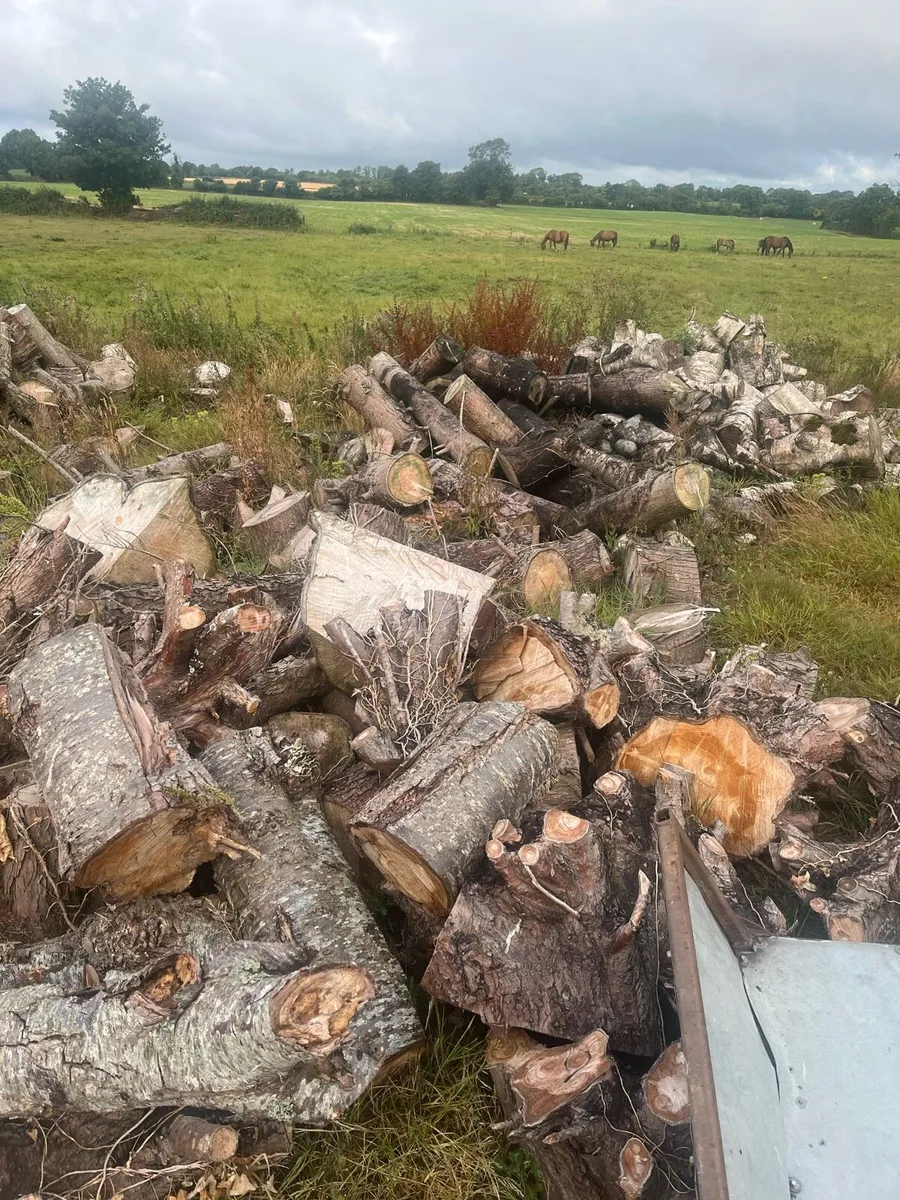 timber for sale - Image 2