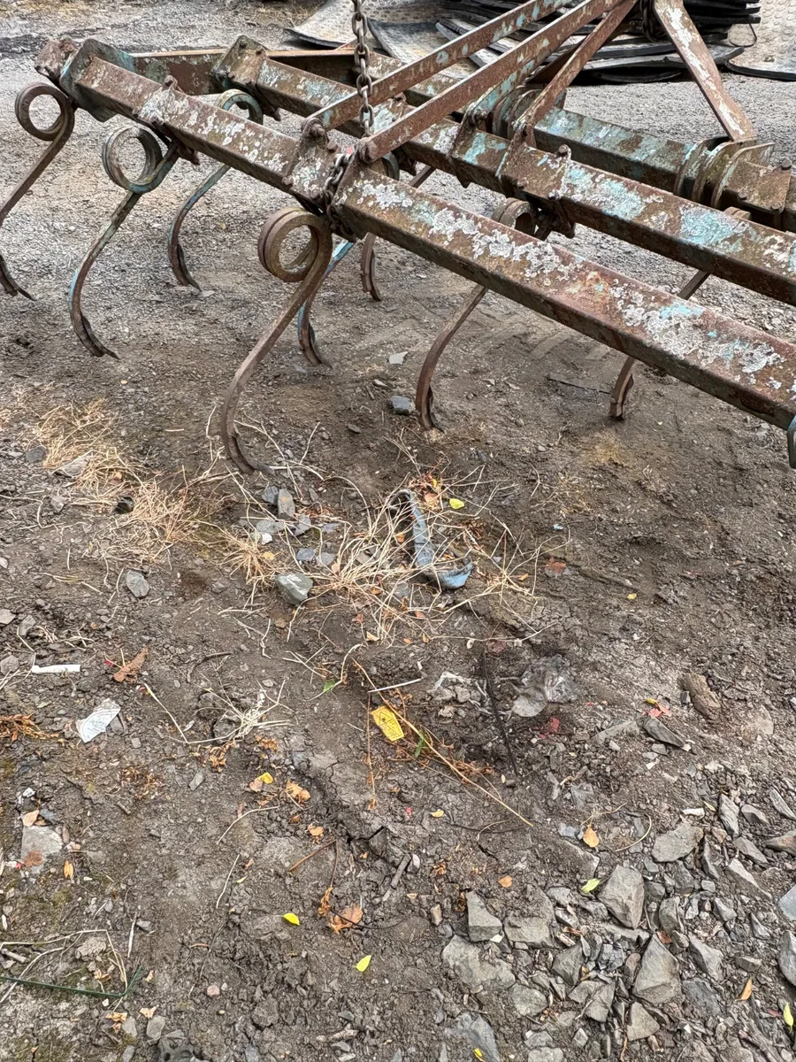 8 leg pig tail Grubber - Image 2