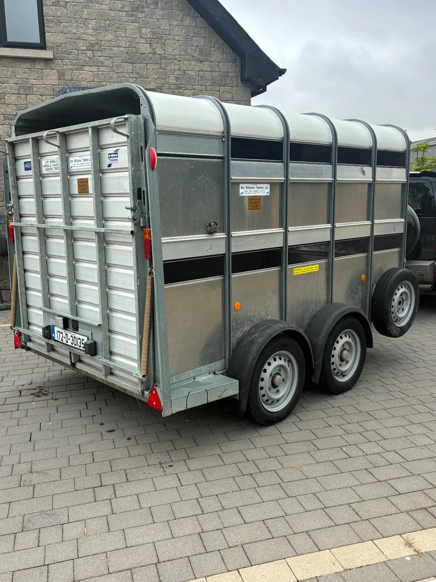 Ifor Williams 10x6 cattle trailer as new - Image 4