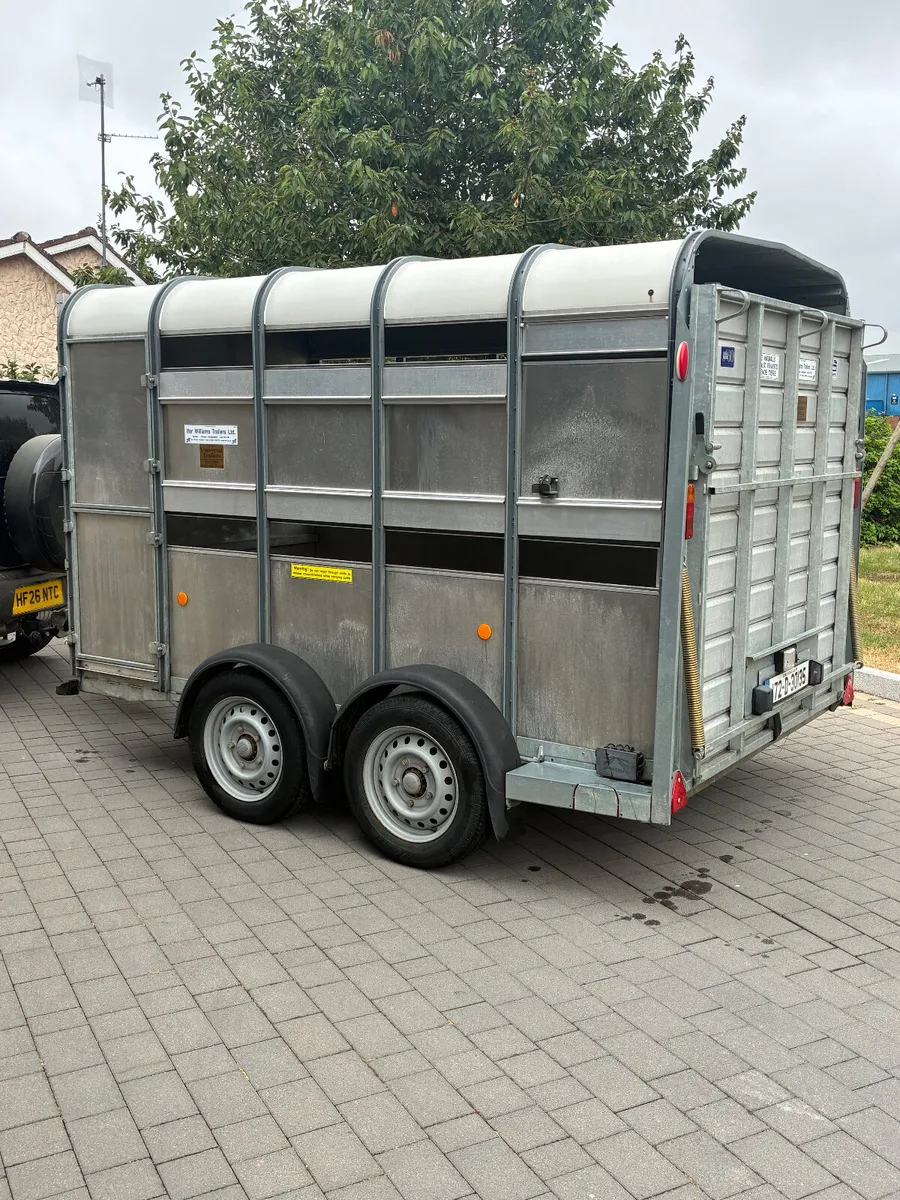Ifor Williams 10x6 cattle trailer as new - Image 3