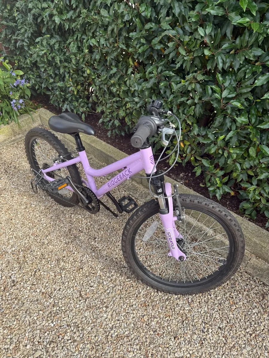Child's Bike - Ridgeback - Image 2