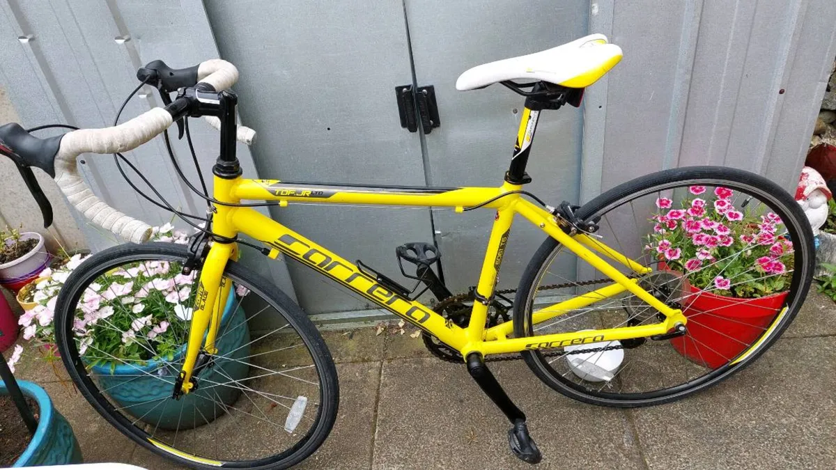 Carrera TDF JR LTD - Image 2