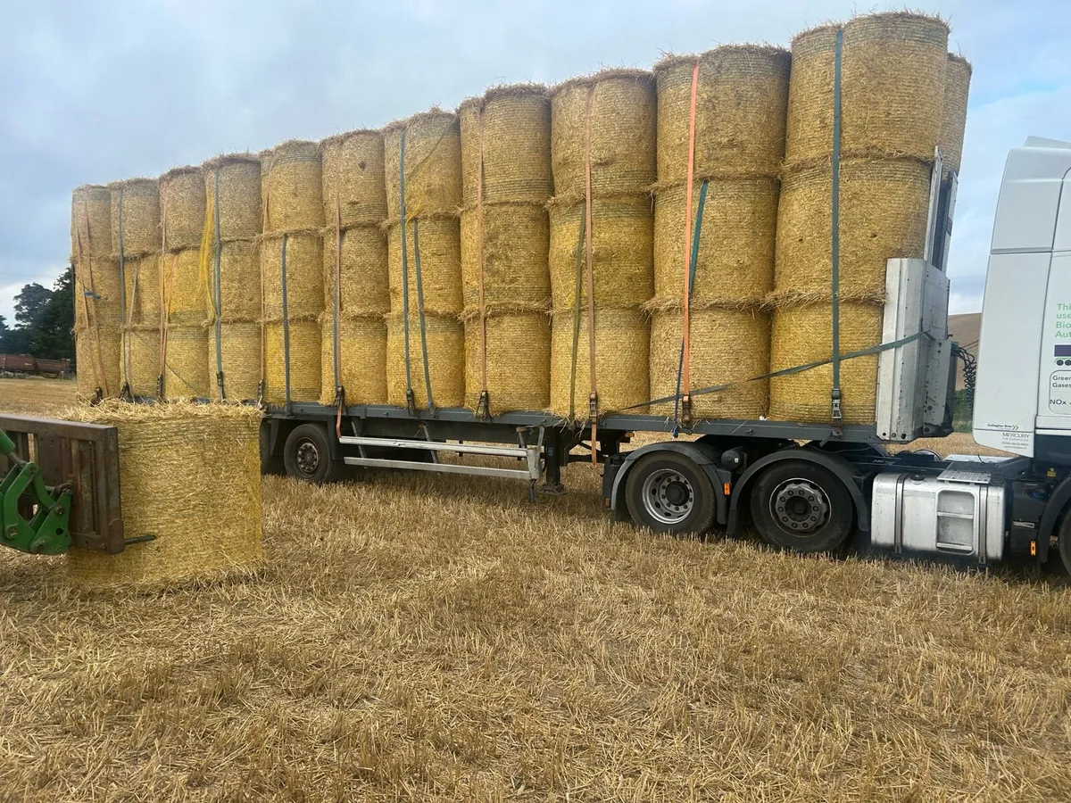 Barley straw for sale - Image 3