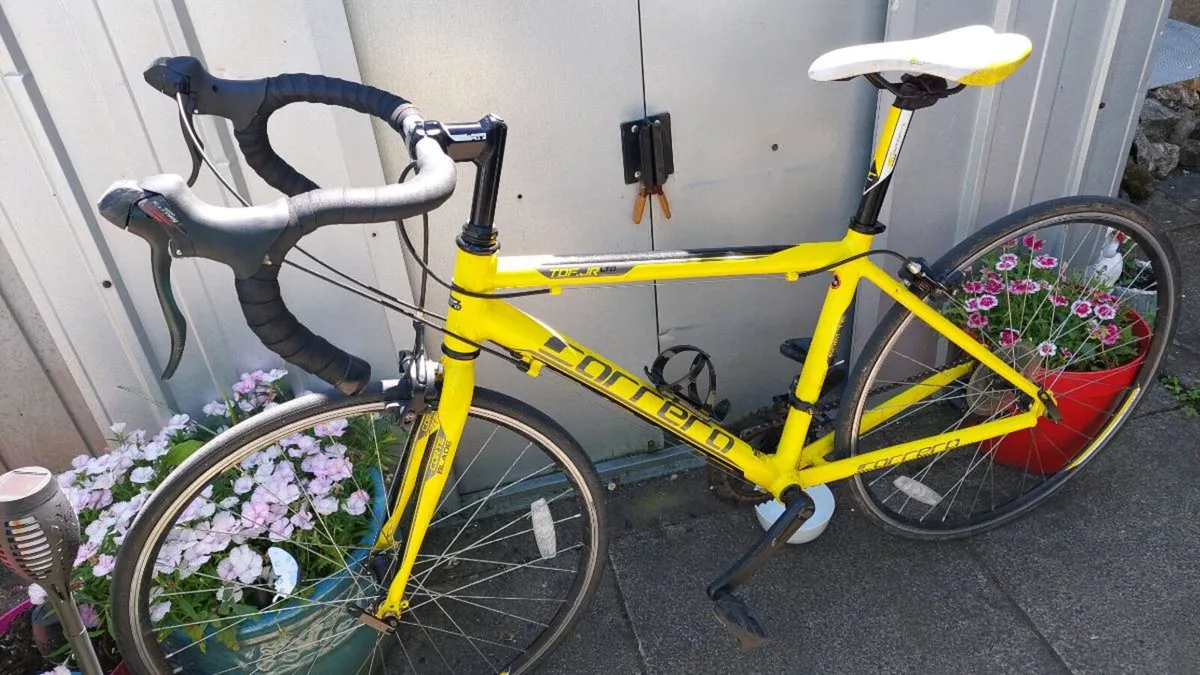 Carrera TDF JR LTD - Image 4