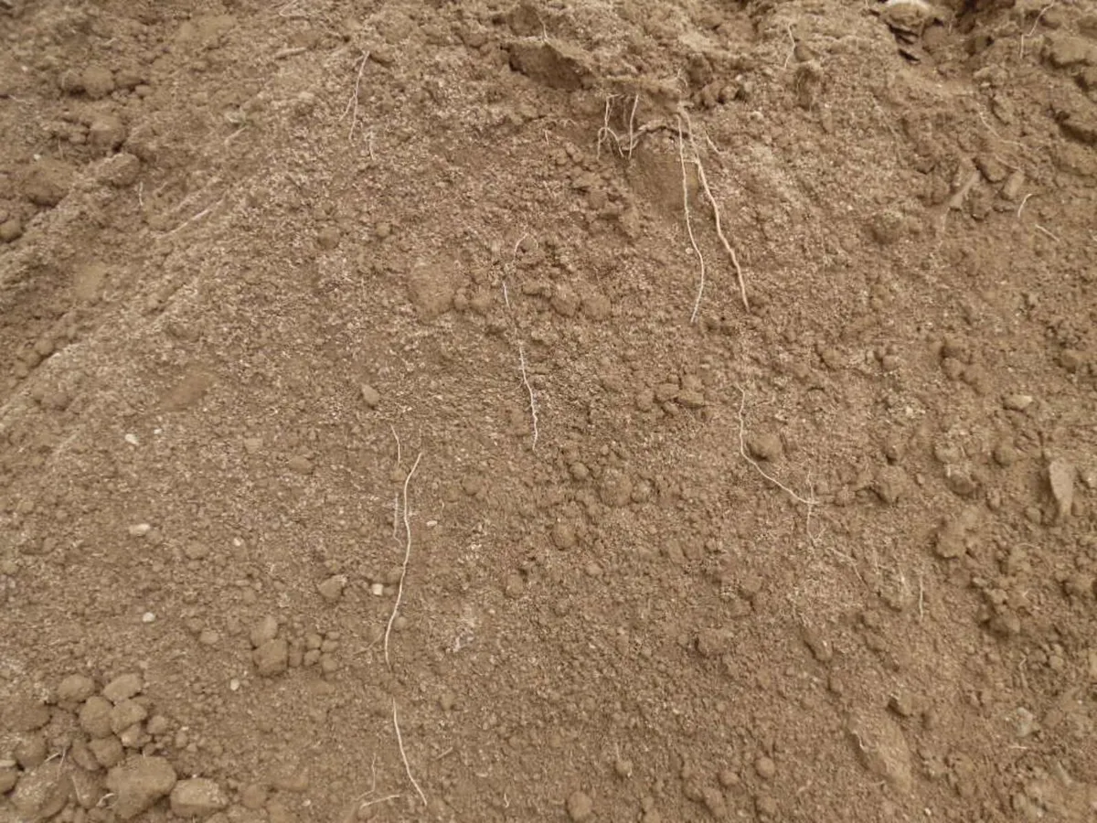 screened top soil vgq - Image 1