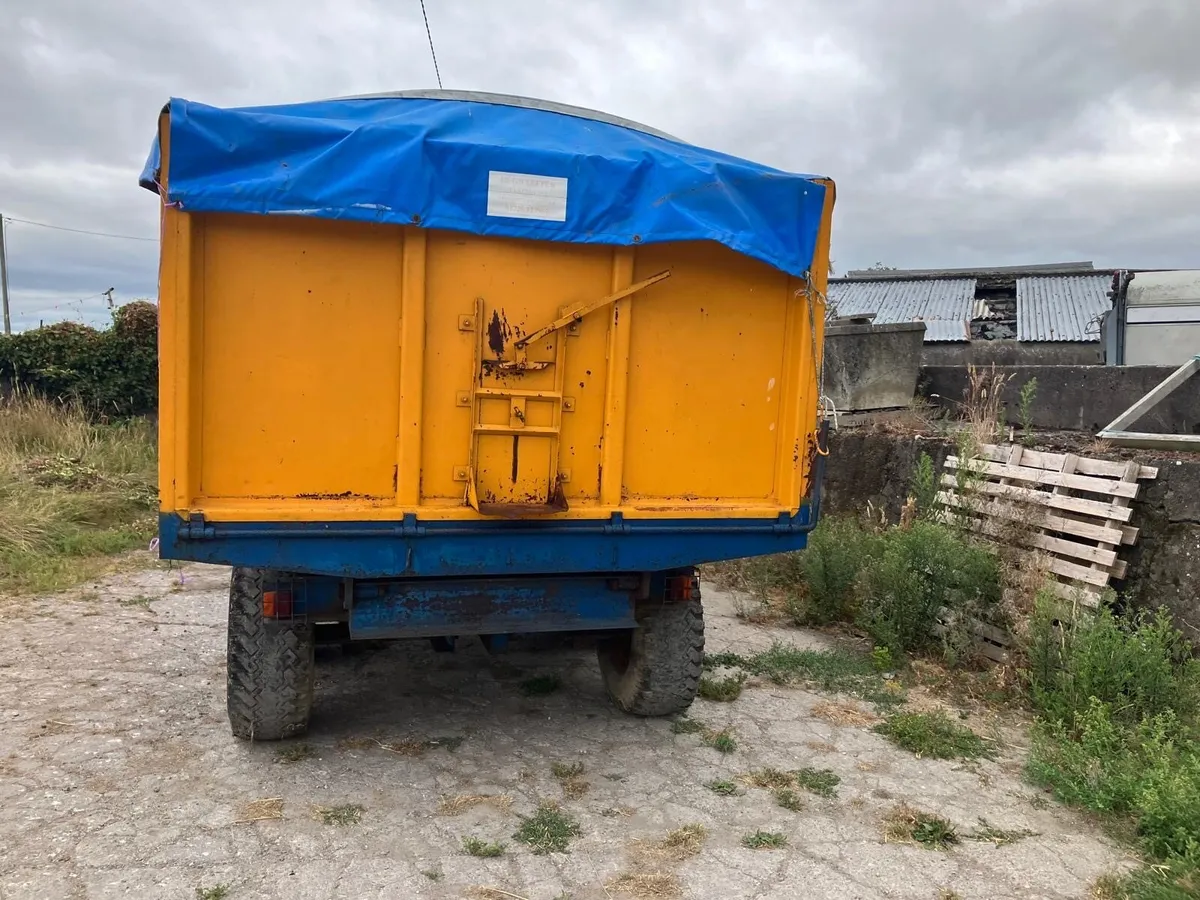 Grain/nut trailer - Image 2