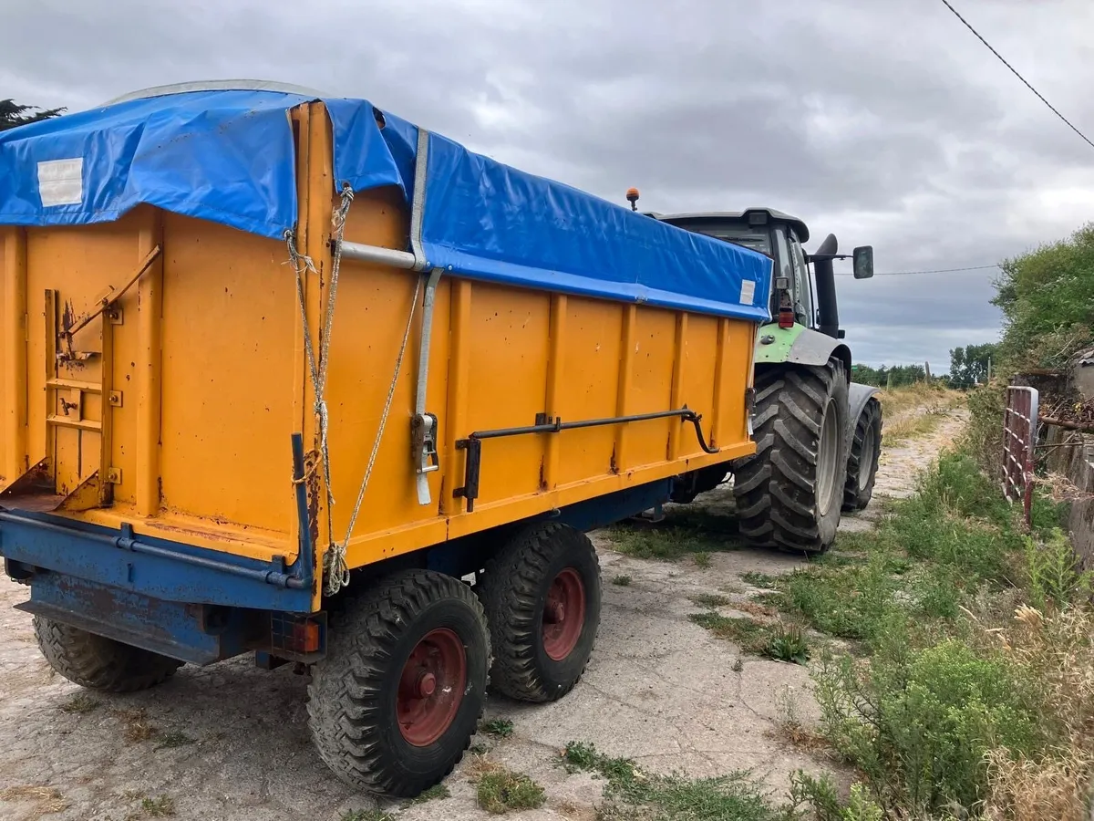 Grain/nut trailer - Image 3