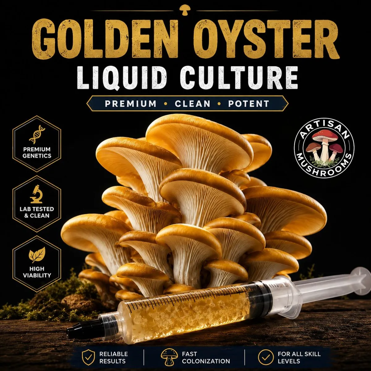 Mushroom Grow Kits & Cultures - Image 4
