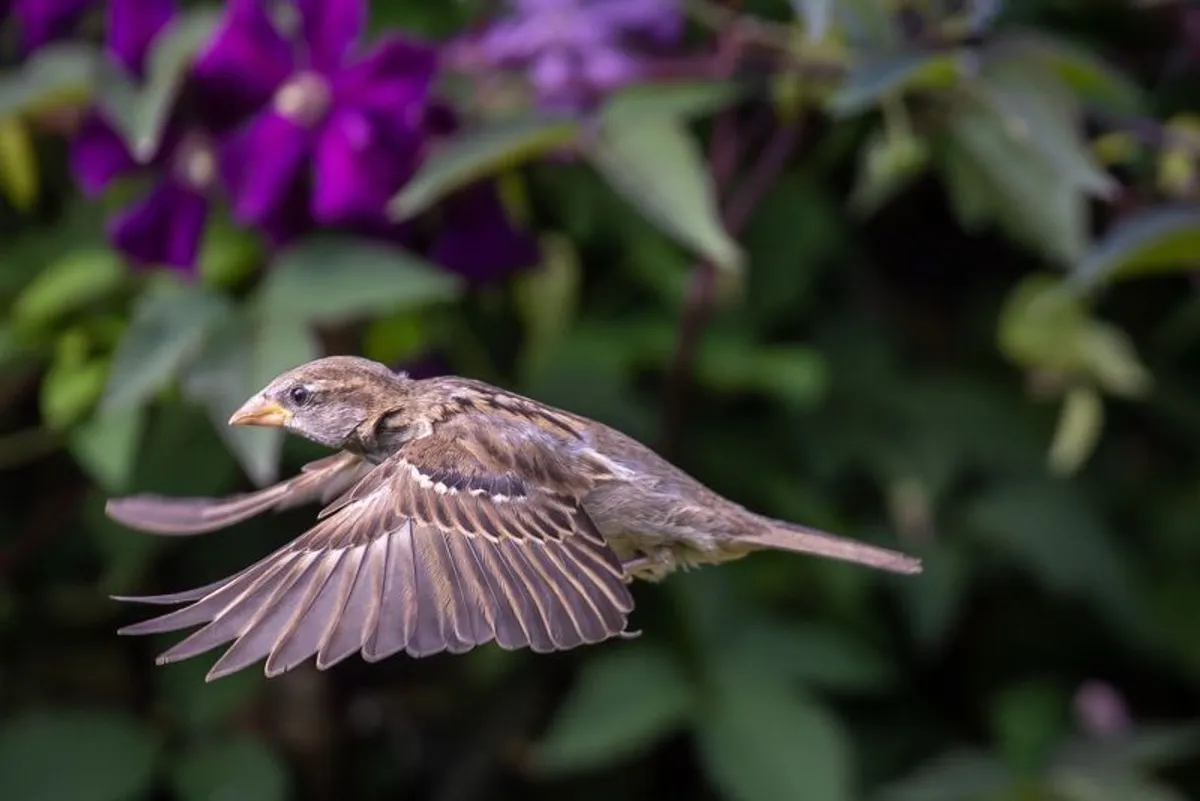 Canon Ef 400mm 2.8 Is Mk1 - Image 3
