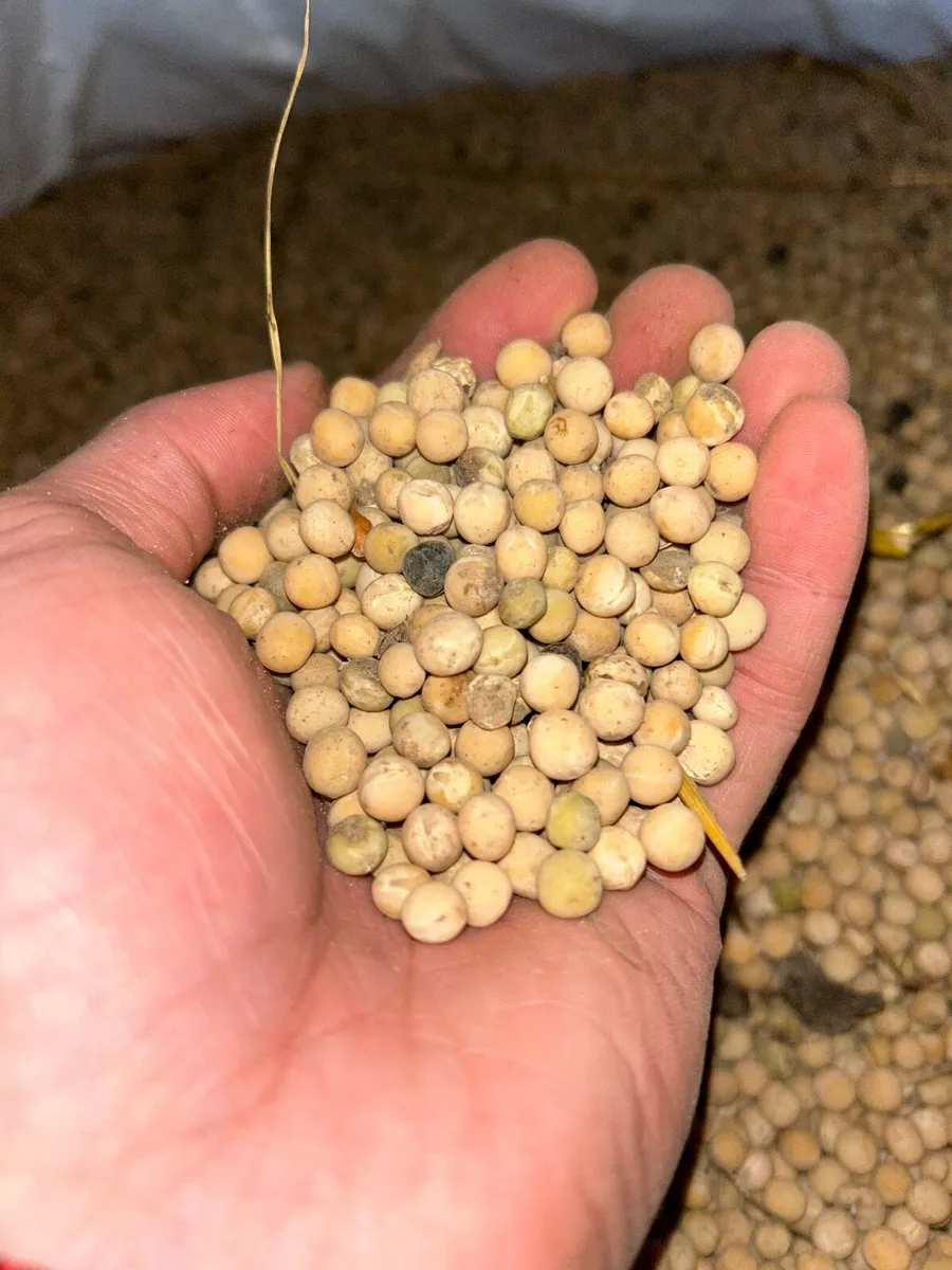 Organic Combi Crop Meal - Image 3