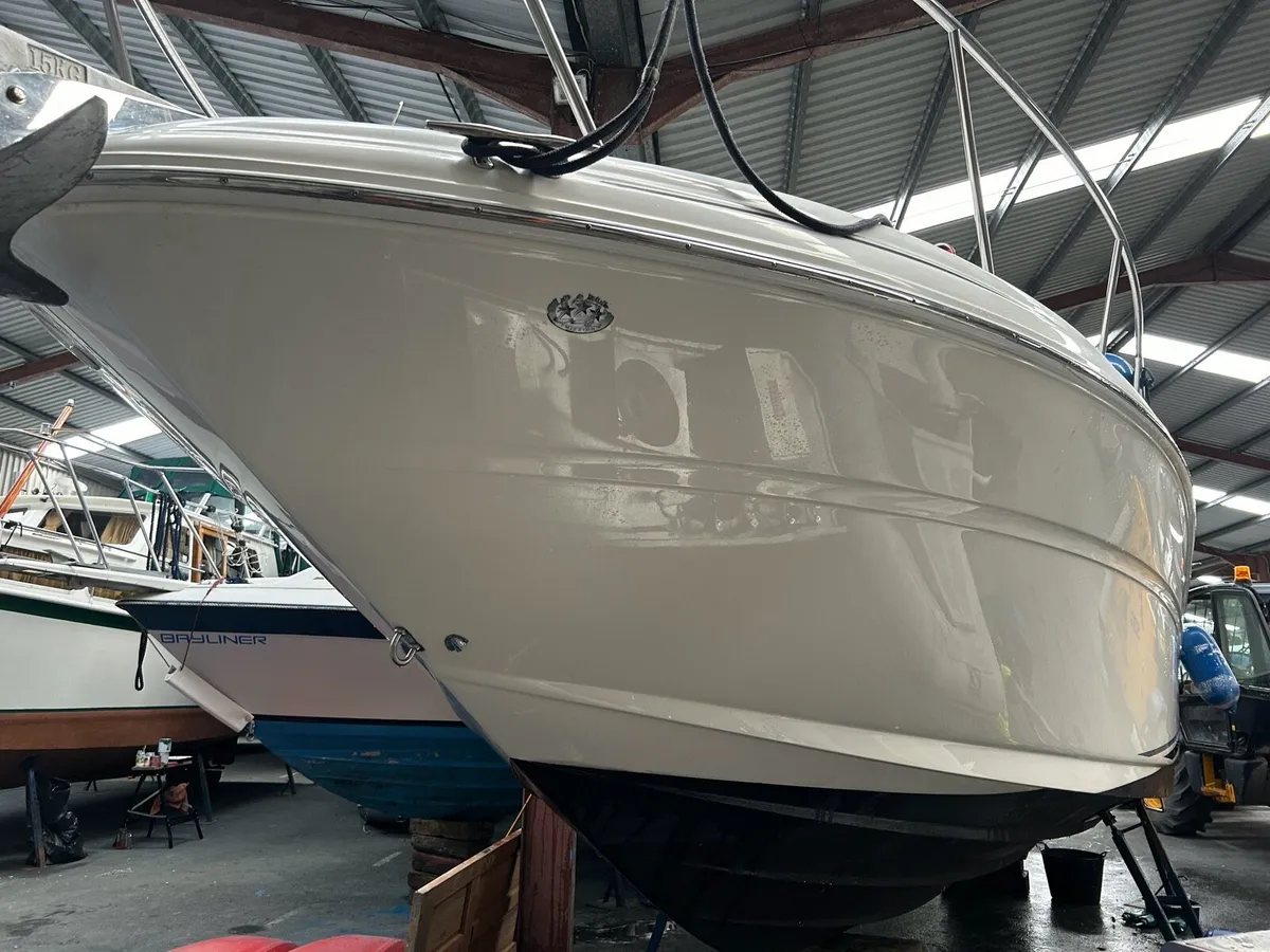 Sea Ray “Sundancer” 315 2004 - Image 3