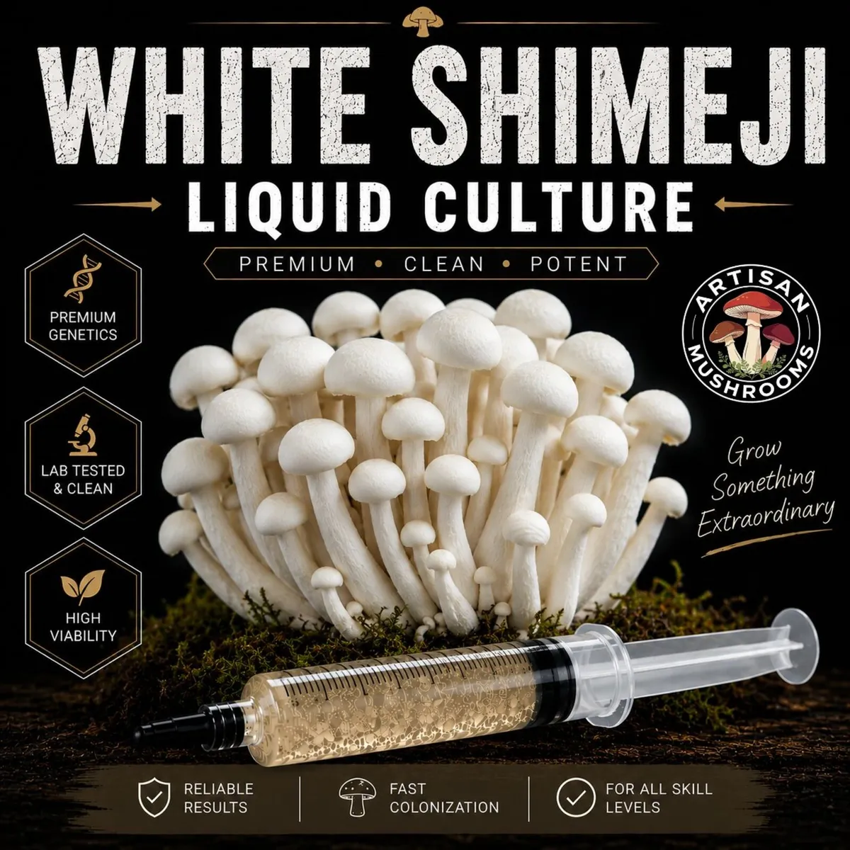 Mushroom Grow Kits & Cultures - Image 3
