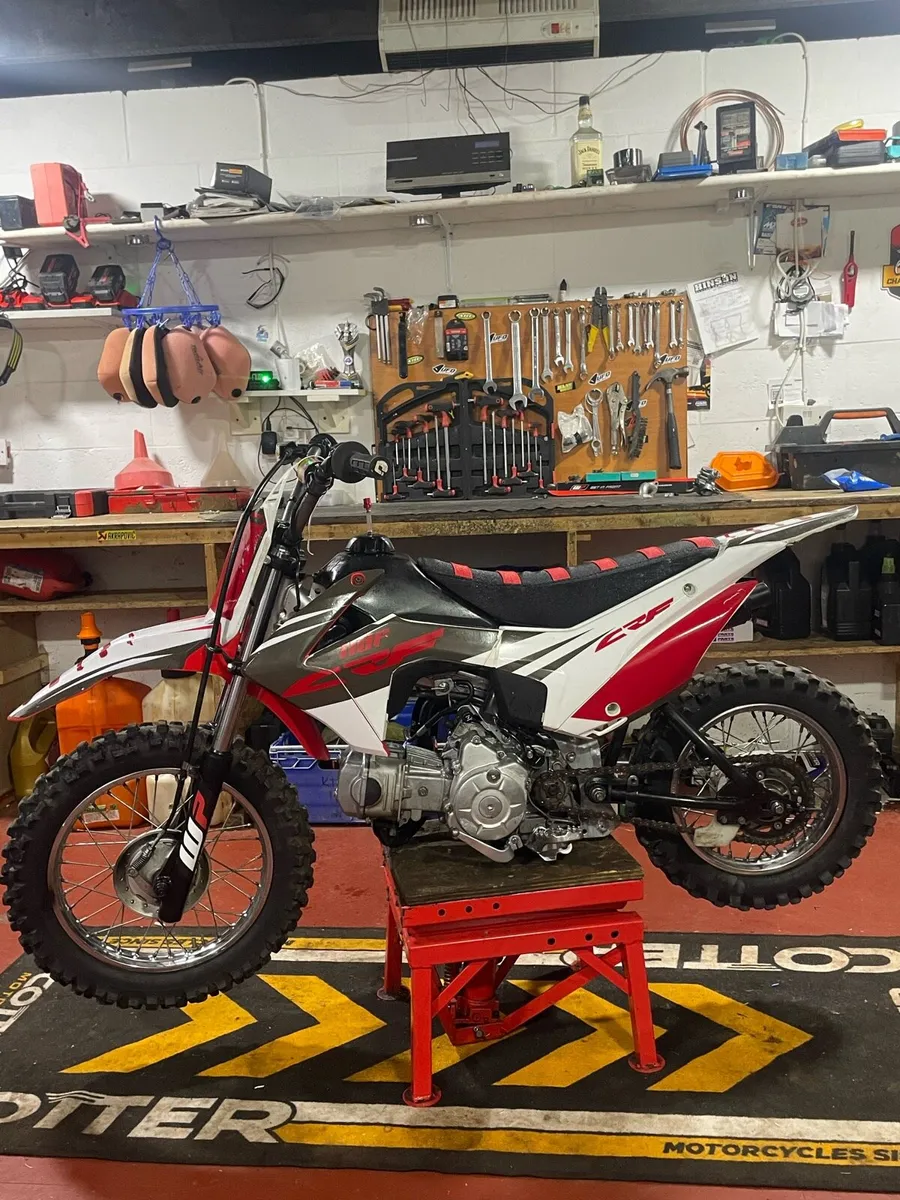 crf 110 - Image 2
