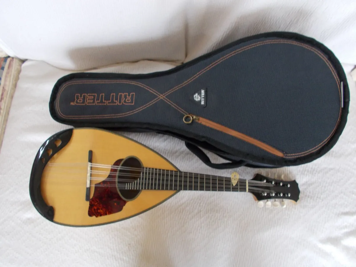 Eastman Round Back Mandolin with Case - Image 3