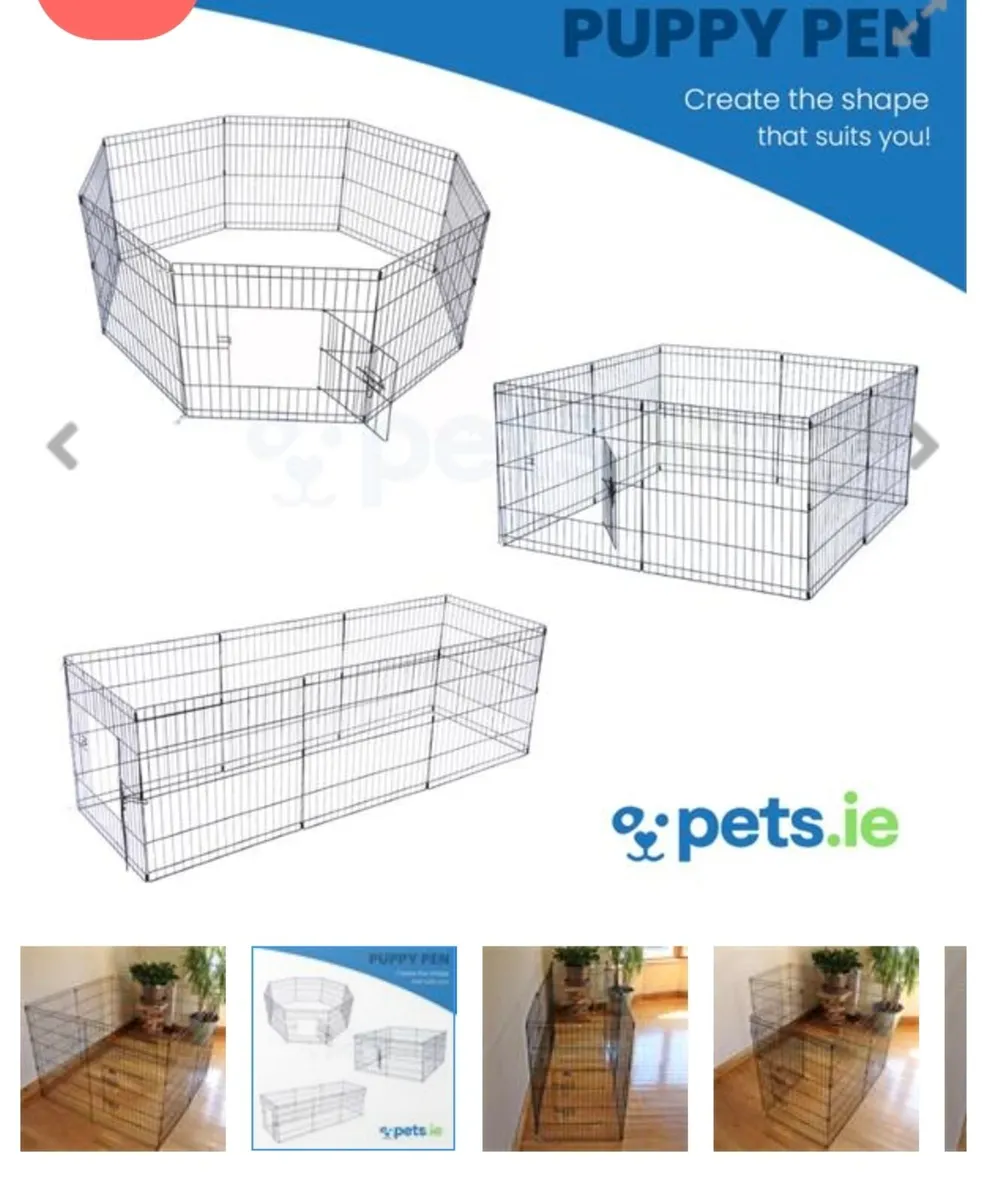 Dog - Image 1