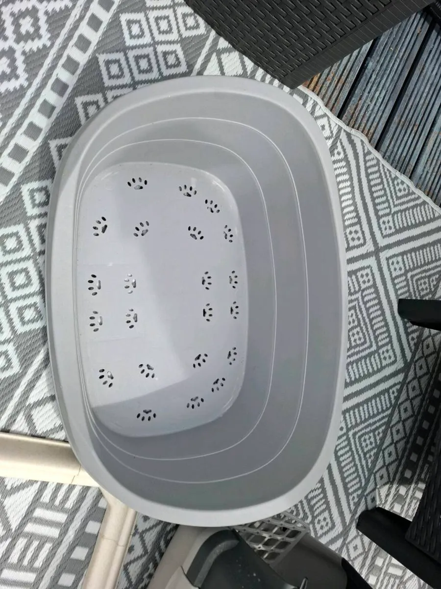 Dog - Image 4