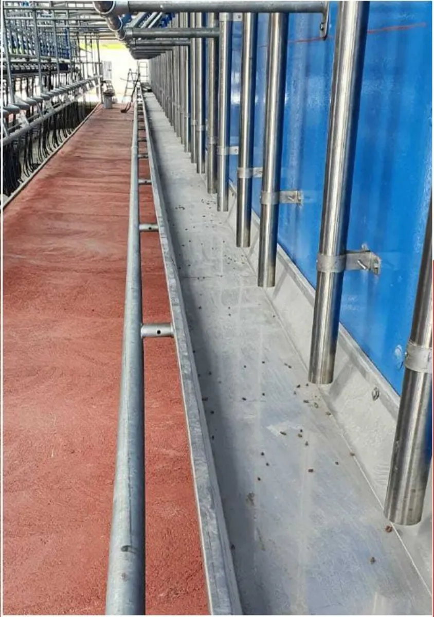 Feeding Equipment - Image 4