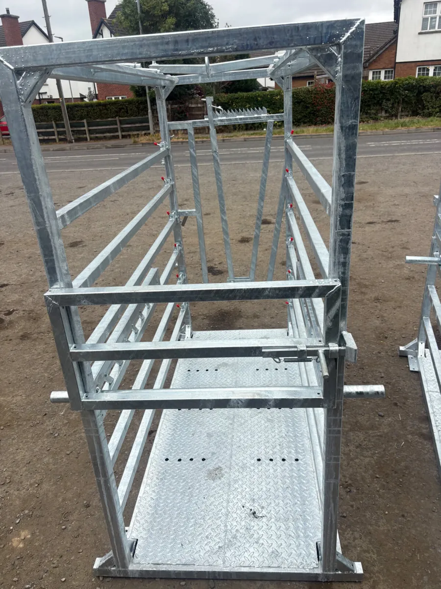New cattle crush - Image 2