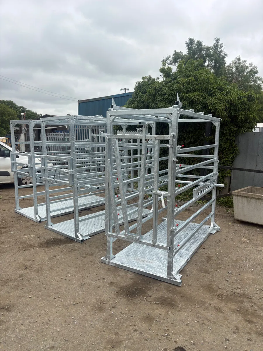 New cattle crush - Image 1