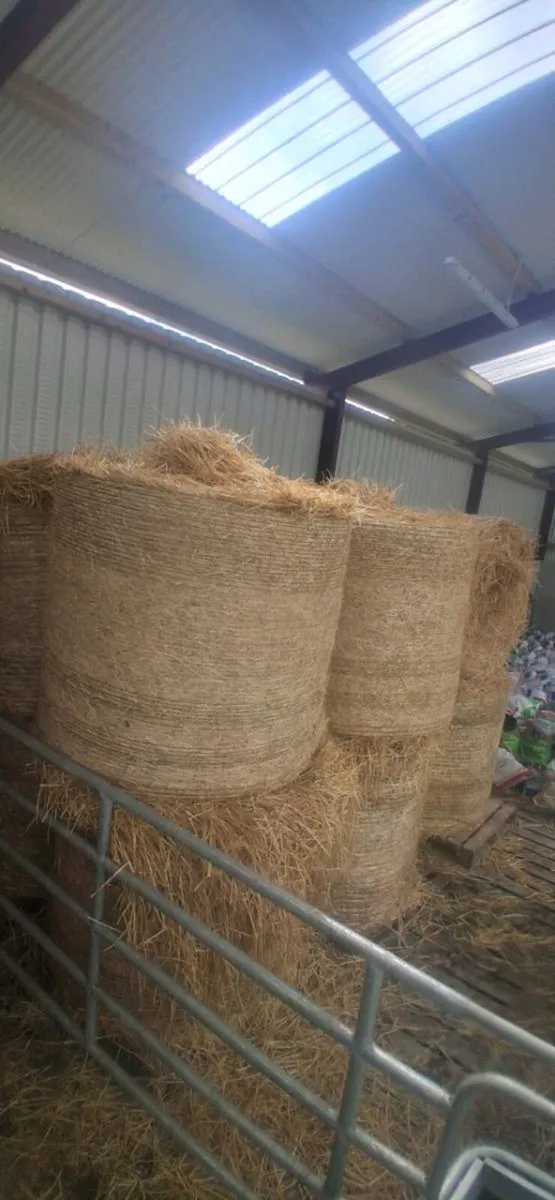 Barley straw