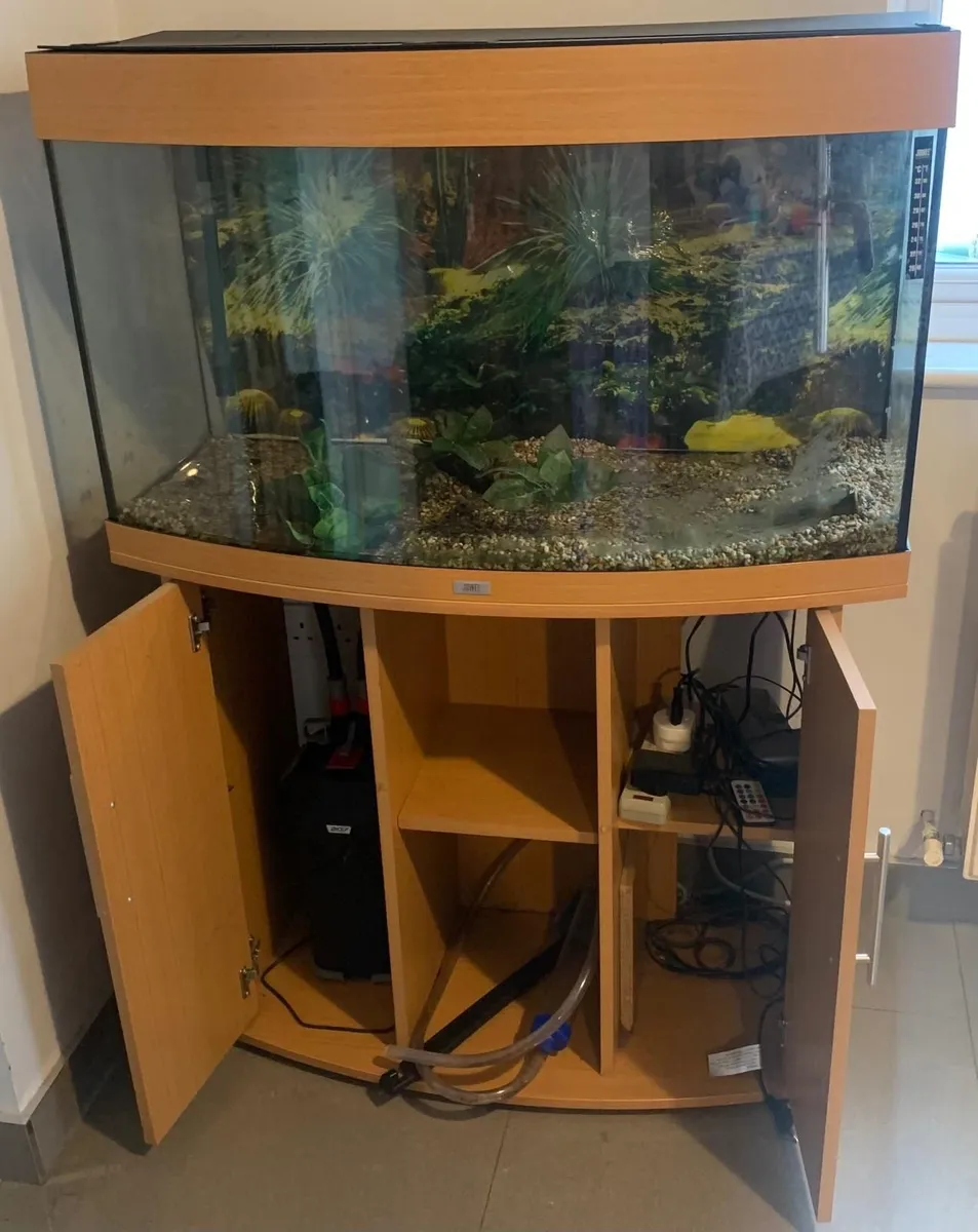 Fish Tank