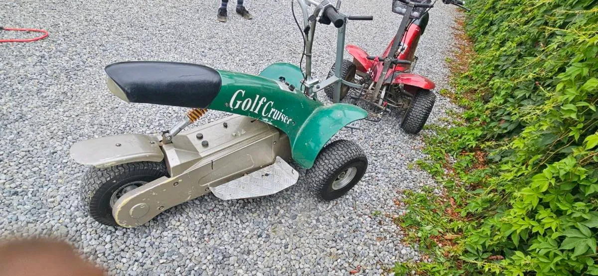 Golf buggies - Image 3
