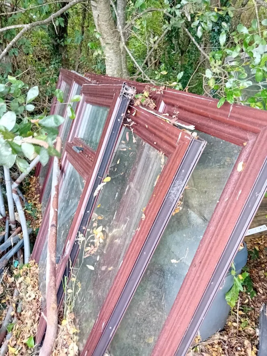 Windows free to takeaway - Image 1