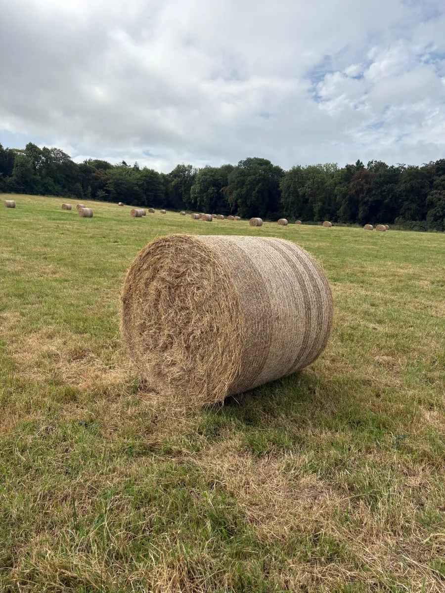 Round Bales of Hay for Sale North Cork - Image 1