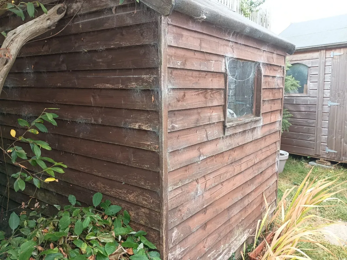 Timber shed - Image 4