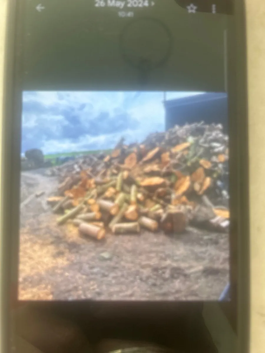 Timber - Image 1