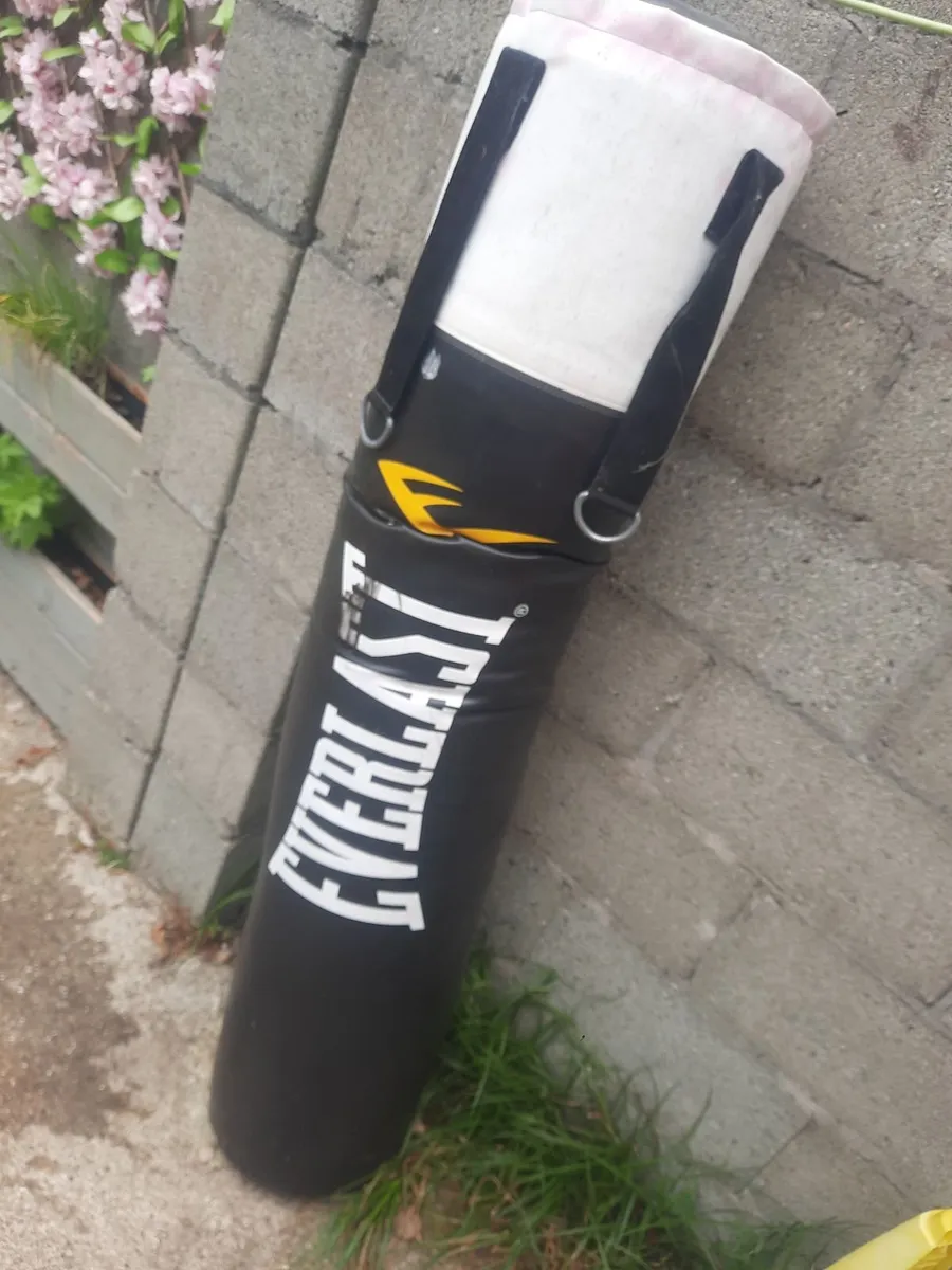 Boxing bag