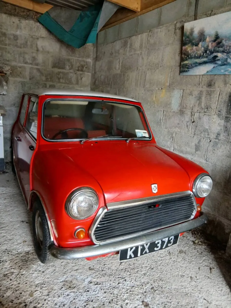 Mini Leyland - Image 1