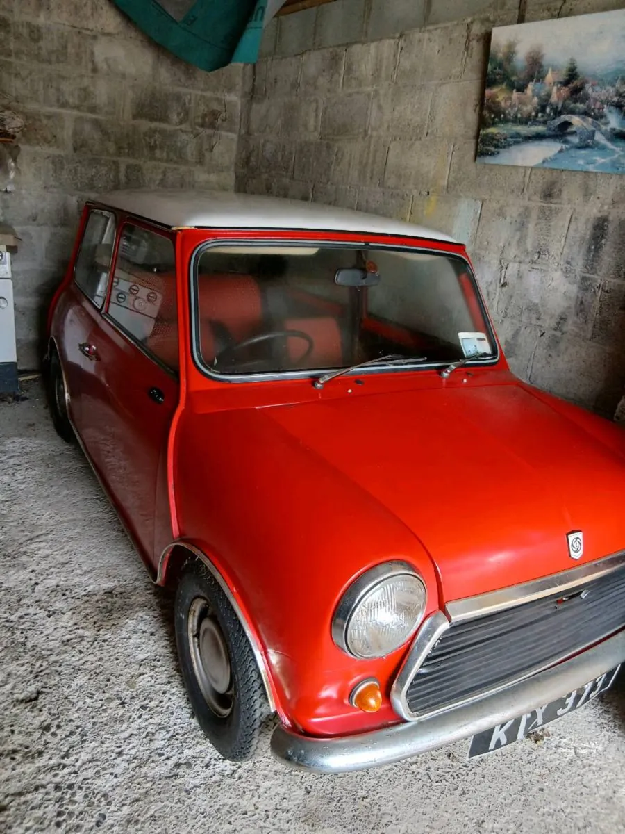 Mini Leyland - Image 2