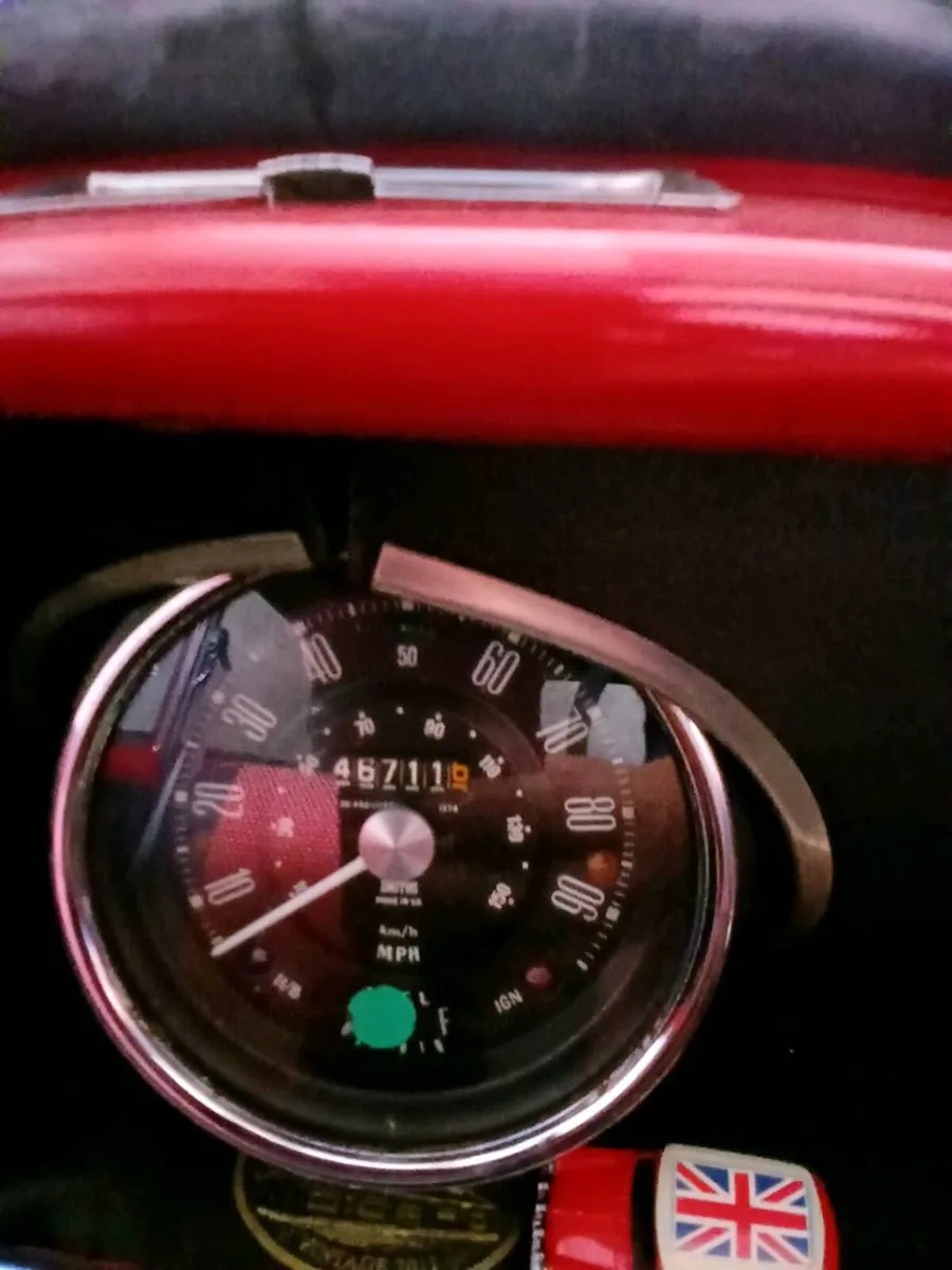 Mini Leyland - Image 4