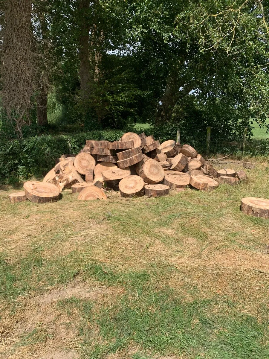 Firewood