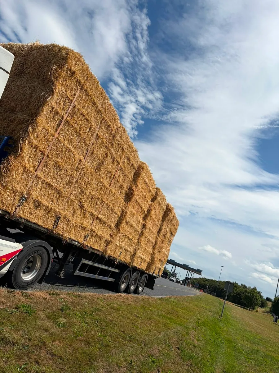 Top quality wheaten and barley straw - Image 2