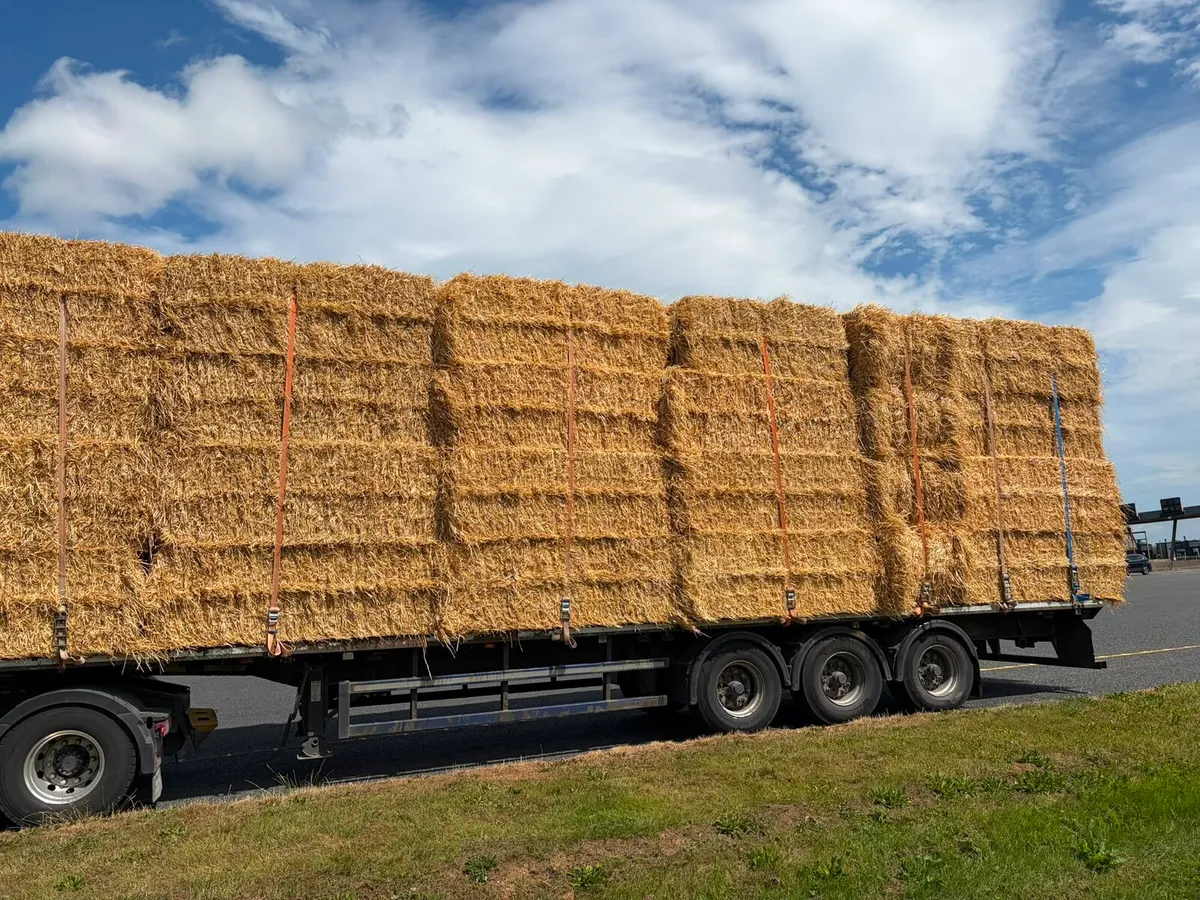 Top quality wheaten and barley straw - Image 1
