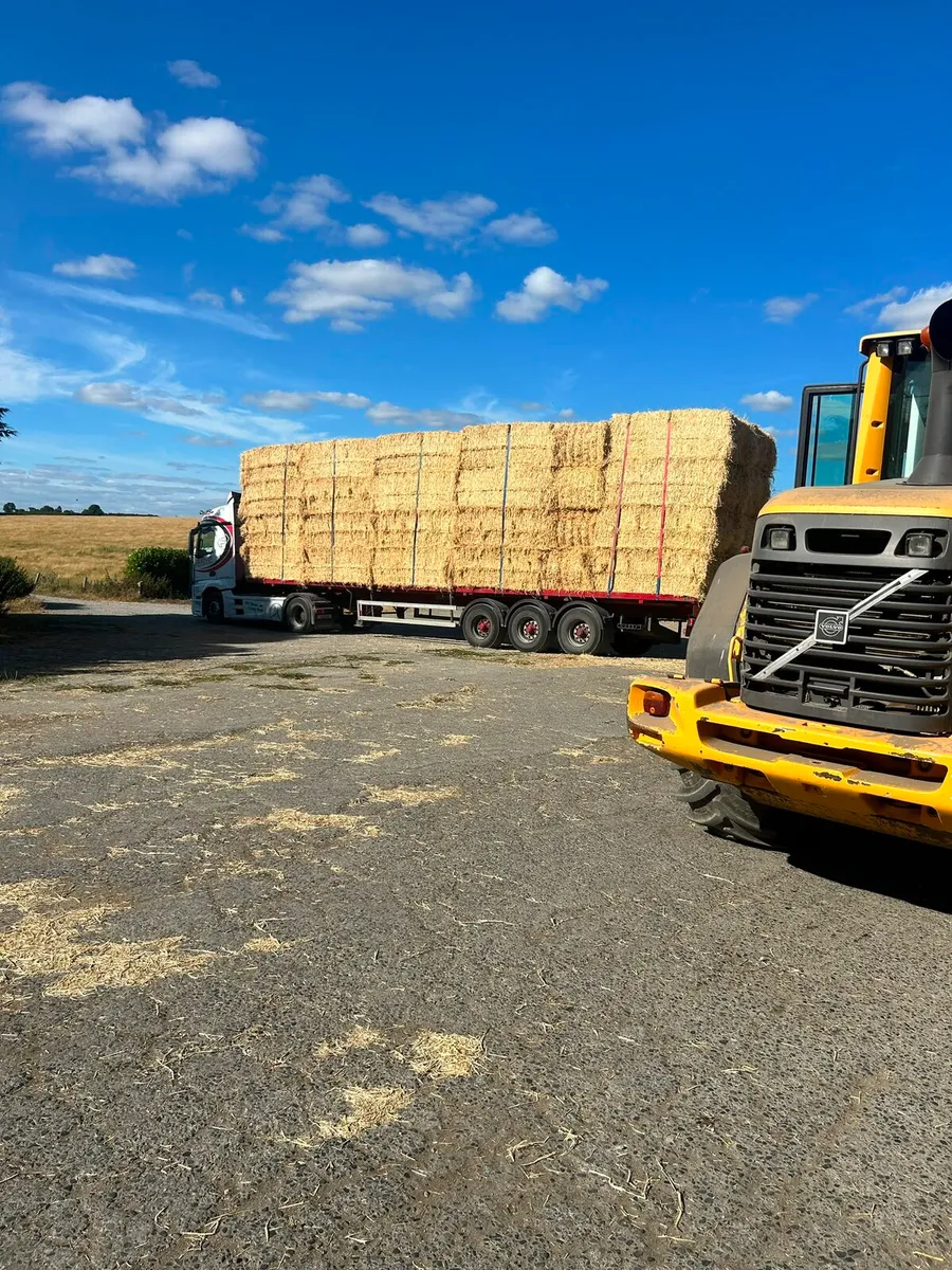 Top quality wheaten and barley straw - Image 4