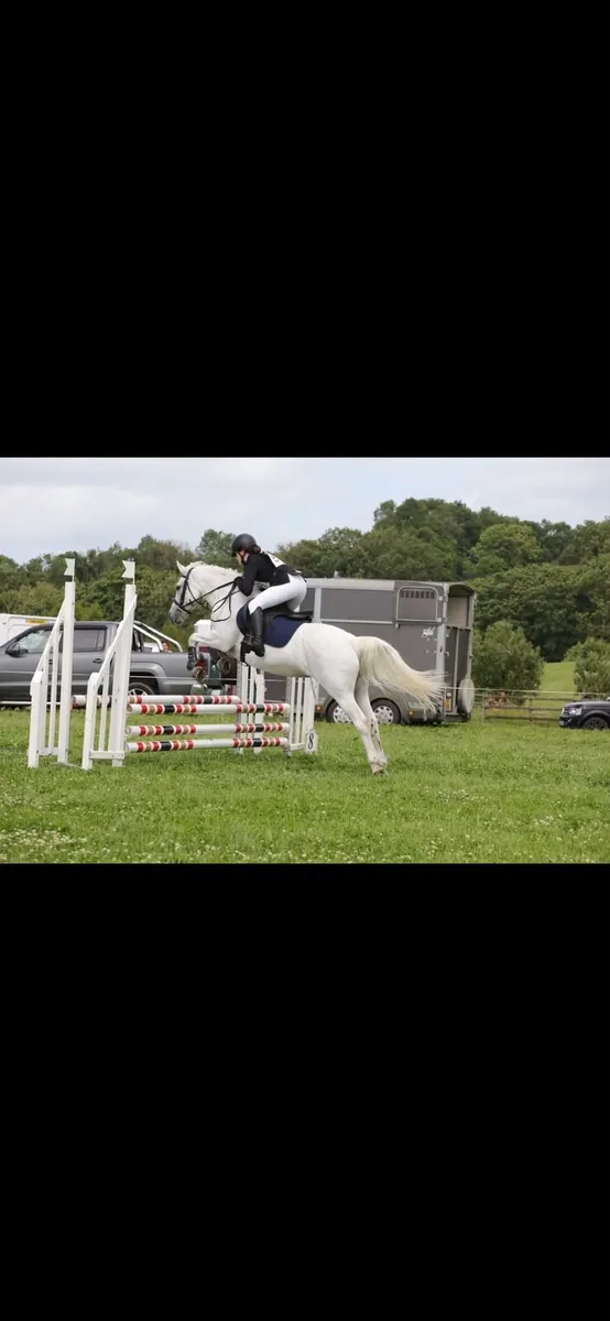 Pony - Image 2